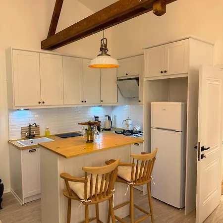 Dogayla Ic Ice Lueks