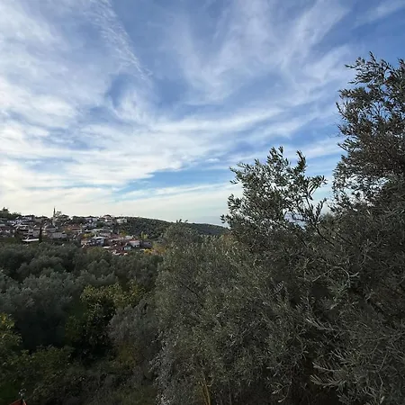 Dogayla Ic Ice Lueks İznik