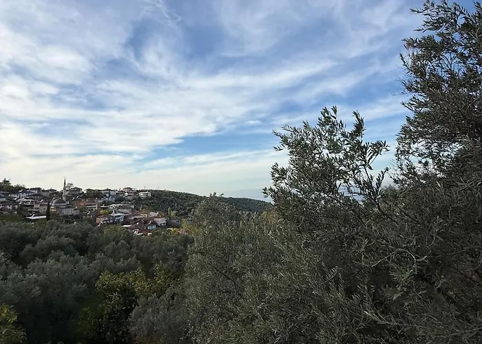 Dogayla Ic Ice Lueks İznik