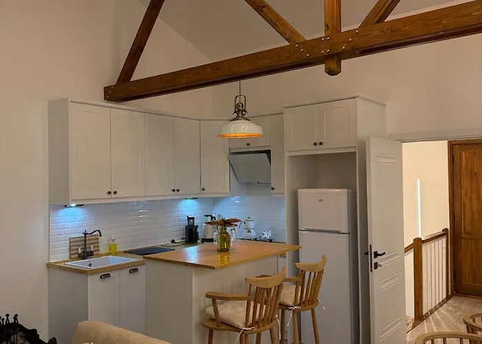 Dogayla Ic Ice Lueks İznik