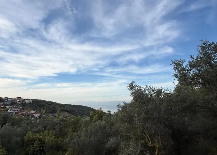 Chalet Dogayla Ic Ice Lueks